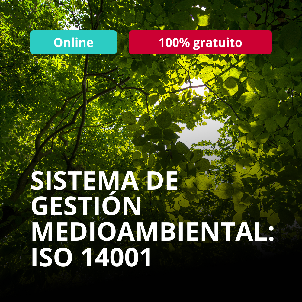 Cursos para verano 2025 (12)