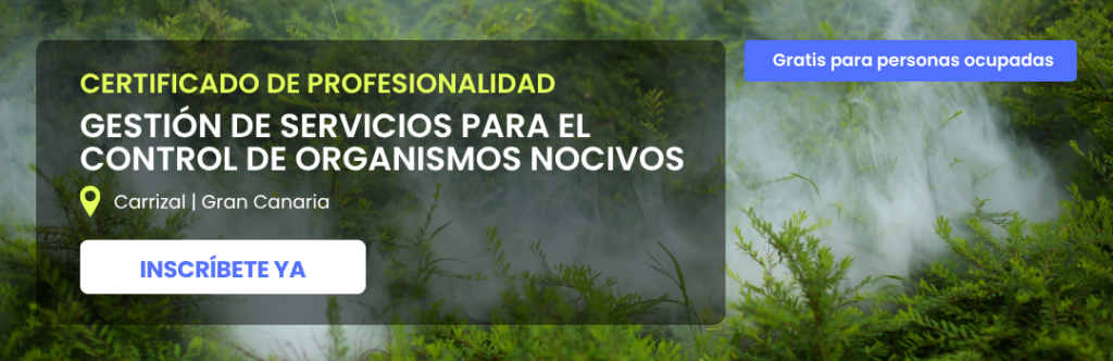 Cursos gratuitos agosto 2026