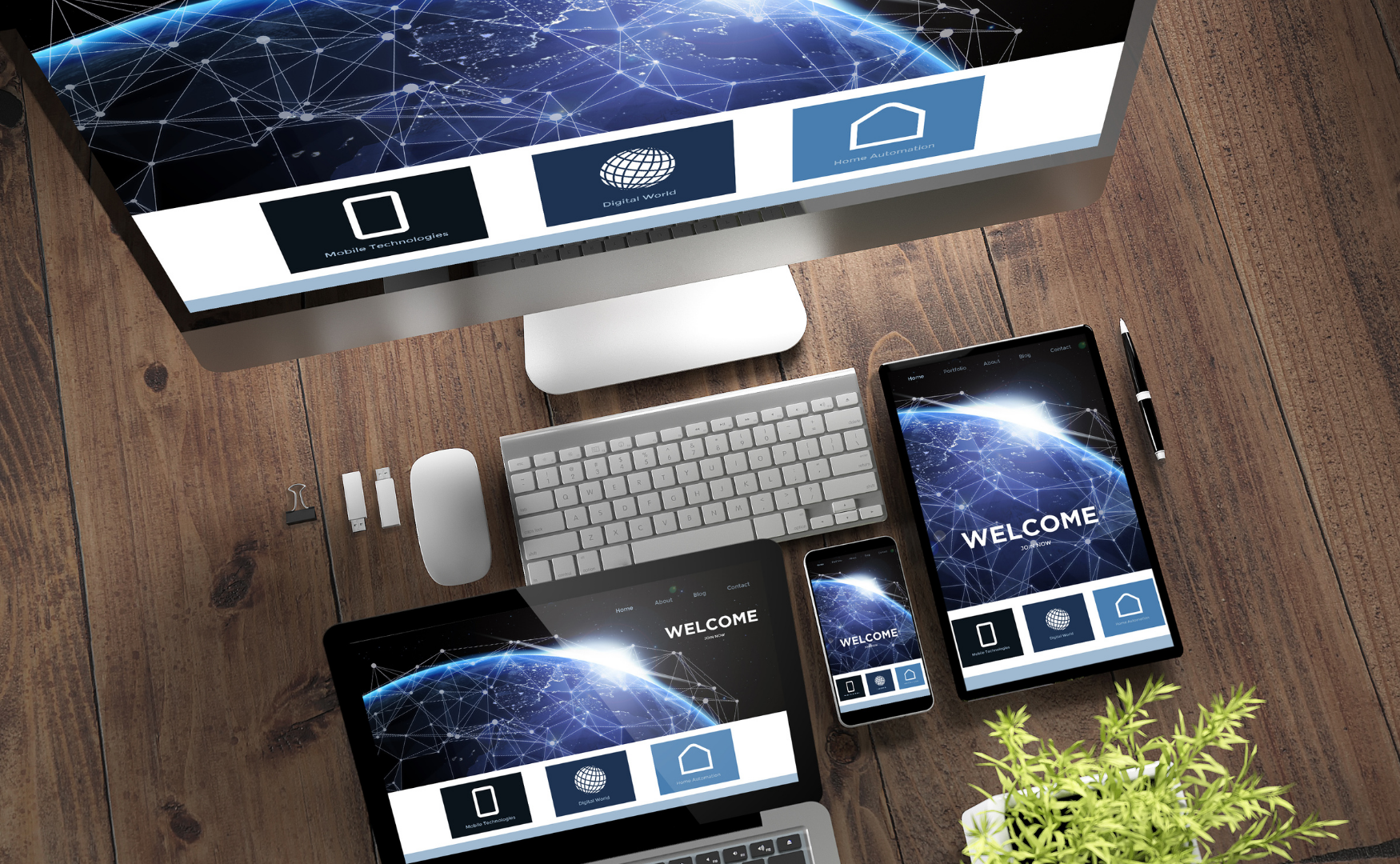 publicacion web