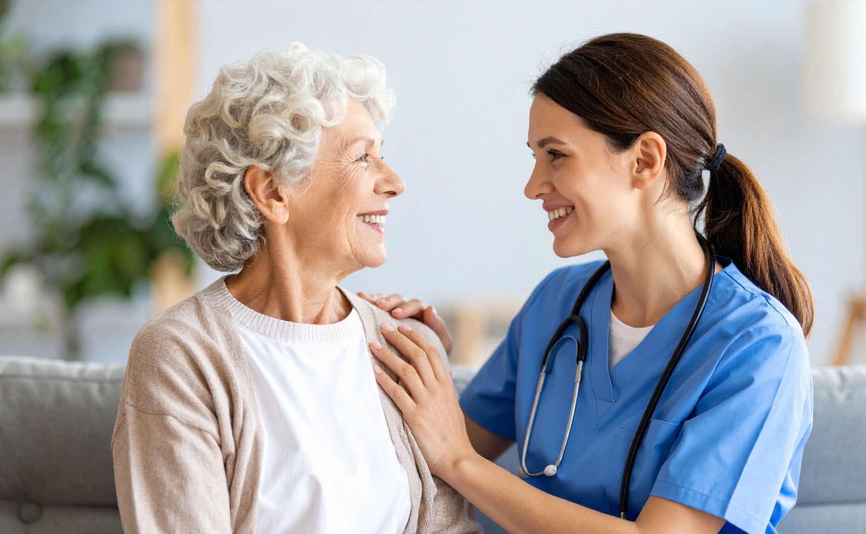 instituciones sociales