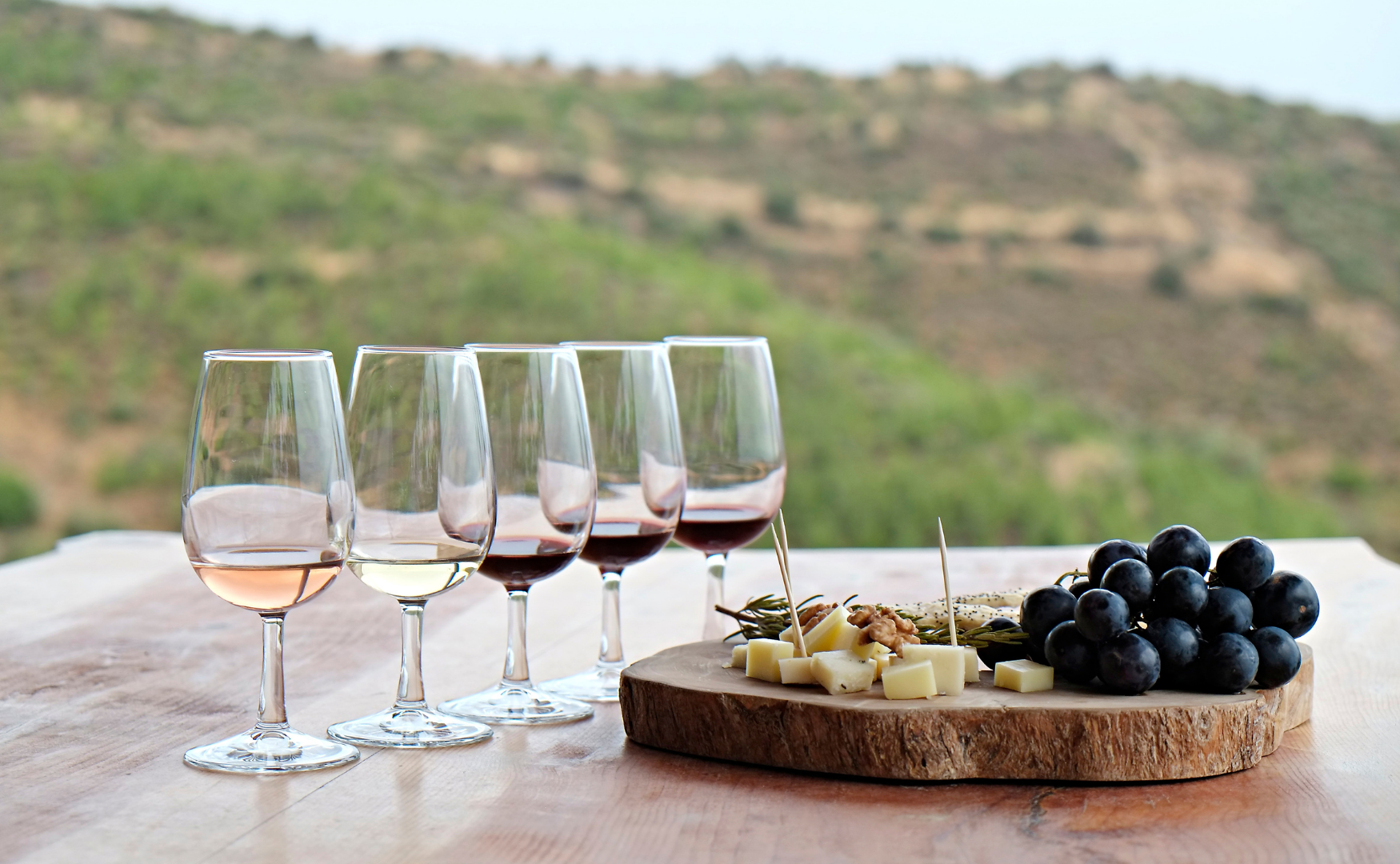 analisis vinos